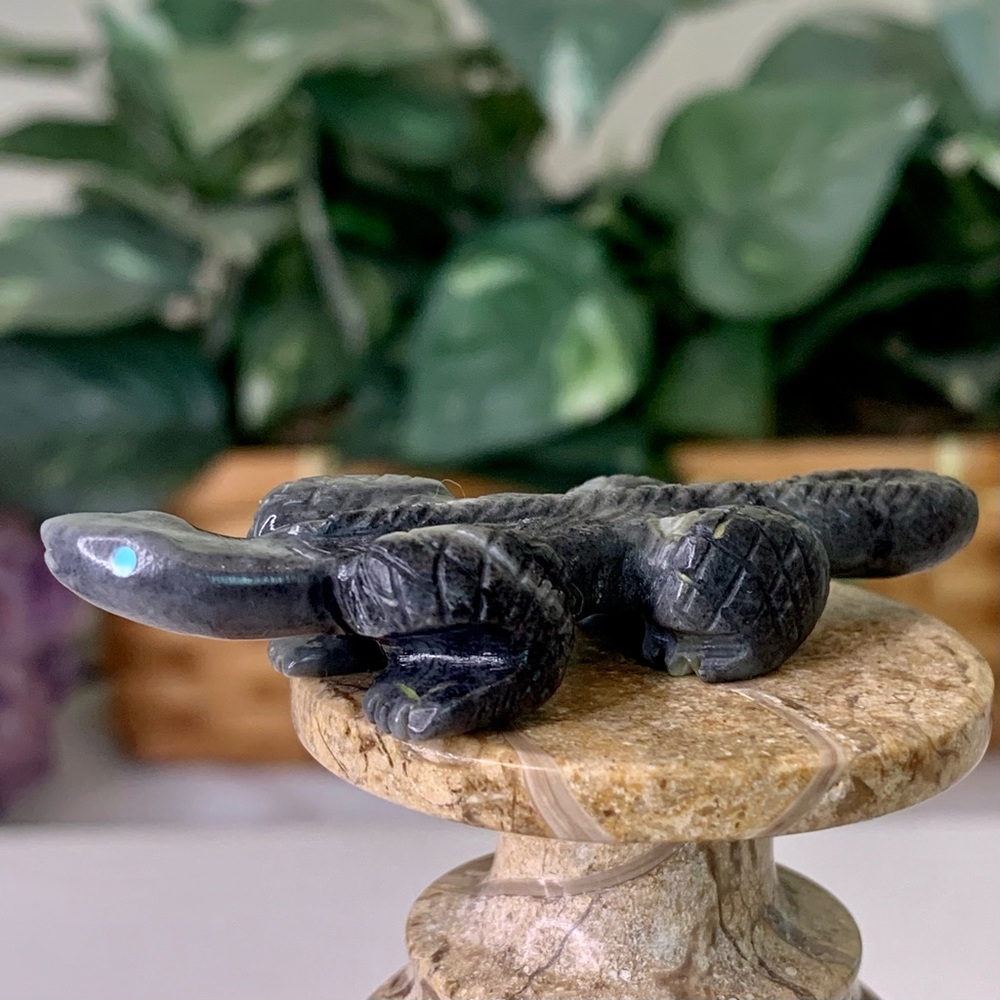 Authentic Zuni Picasso Marble Lizard Fetish Carving Nelson Yatsattie 2.5" Signed - Picture 6 of 16